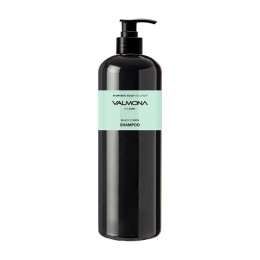 VALMONA Ayurvedic Scalp Solution Black Cumin Shampoo 480 мл